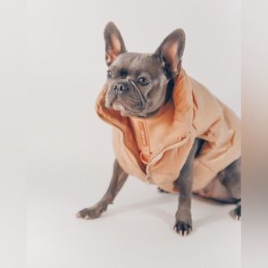 PETsRUS Beige Puffer Dog Vest Winter Cold Season Coat Jacket w Zipper Chicago